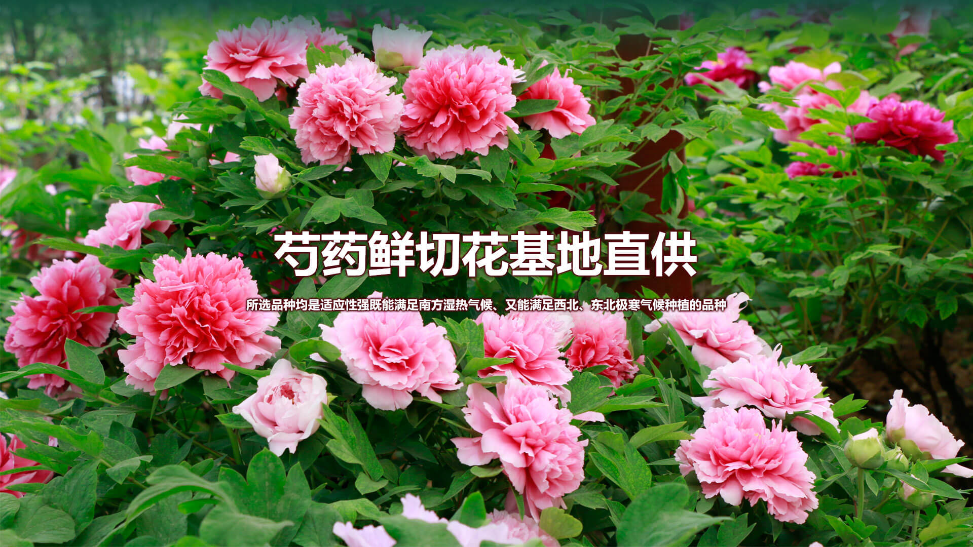 濰坊馳龍機電設備有限公司